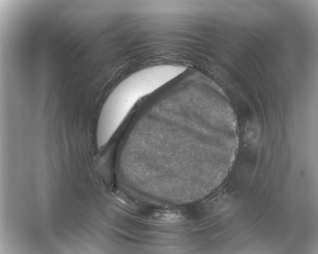 X0000065980559200603311907