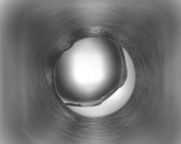 X0000065980562200603311907