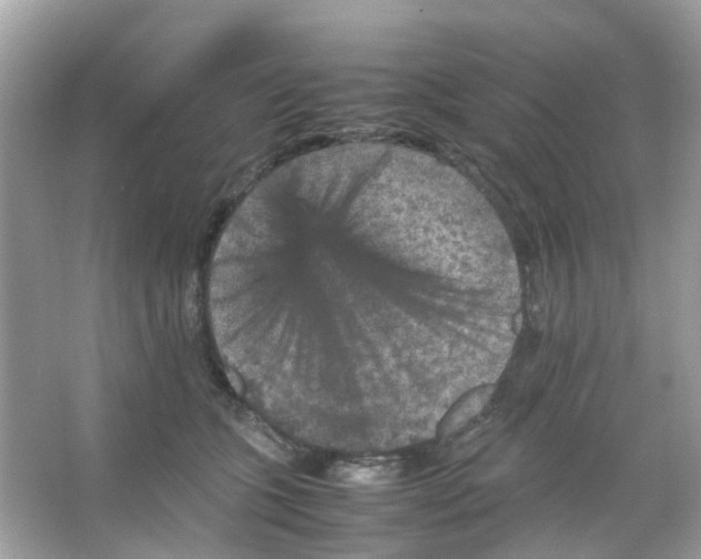 X0000065980563200603311908