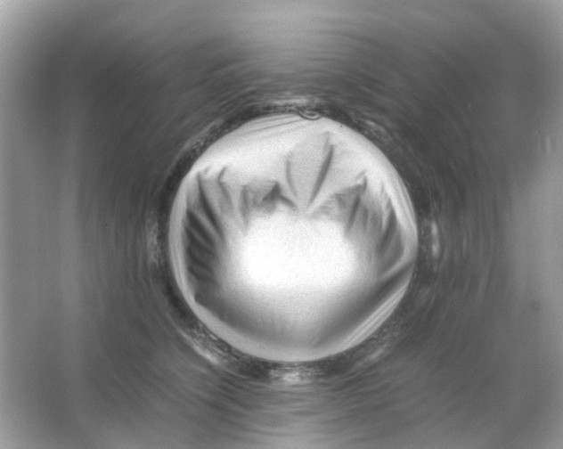 X0000065980564200603311908