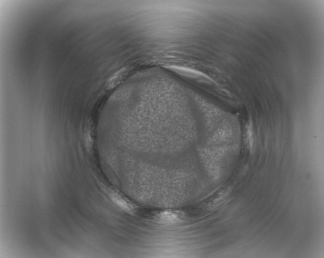 X0000065980566200603311908