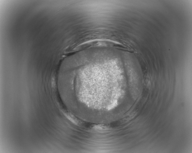 X0000065980568200603311908