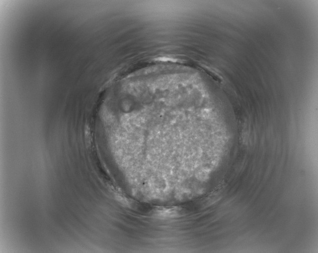 X0000065980569200603311908