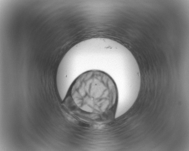 X0000065980570200603311908