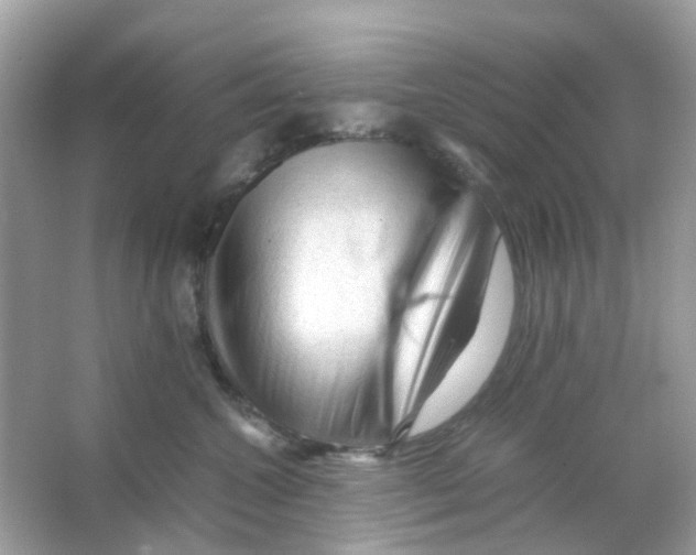 X0000065980572200603311908