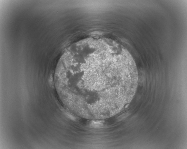 X0000065980573200603311908