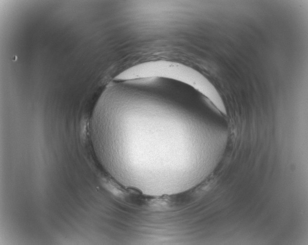 X0000065980574200603311908