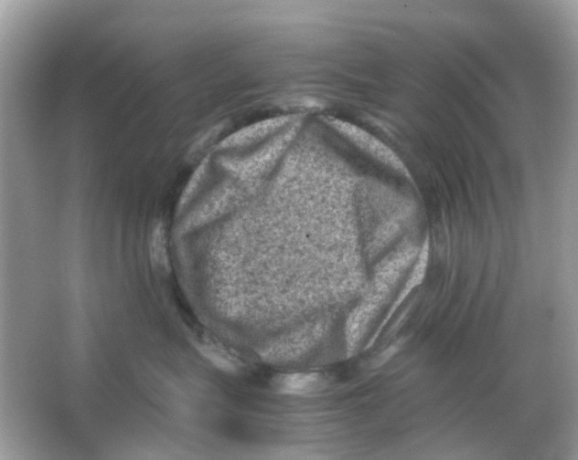 X0000065980575200603311908