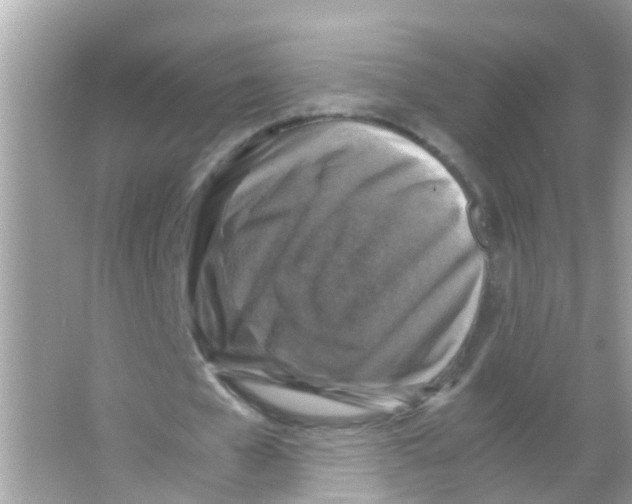 X0000065980577200603311907