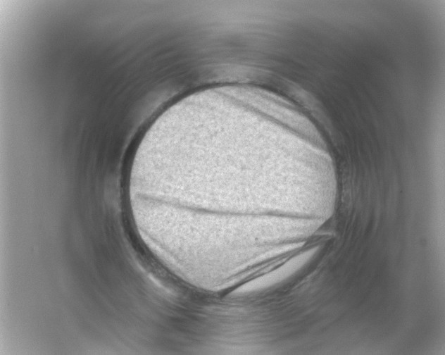 X0000065980578200603311907