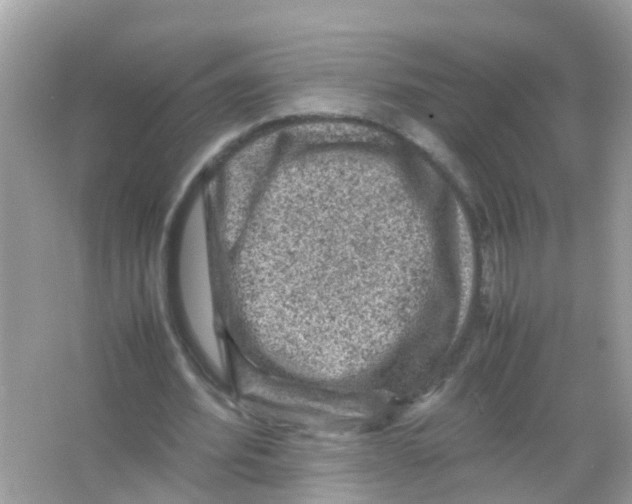 X0000065980580200603311907