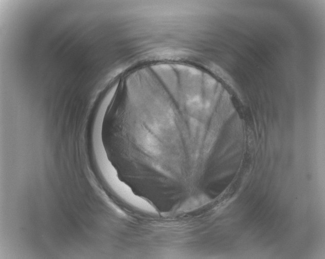 X0000065980581200603311907