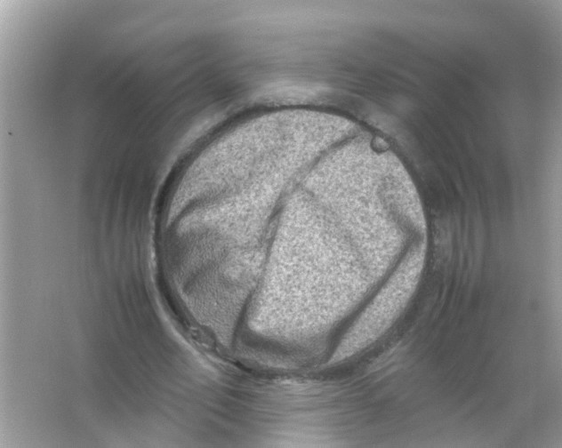 X0000065980582200603311907