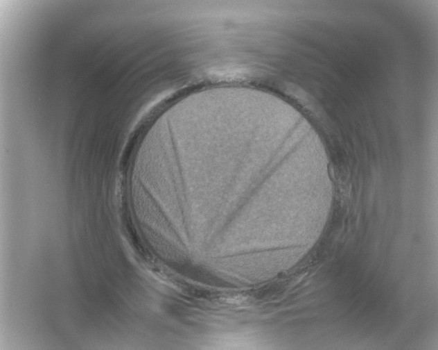 X0000065980583200603311907