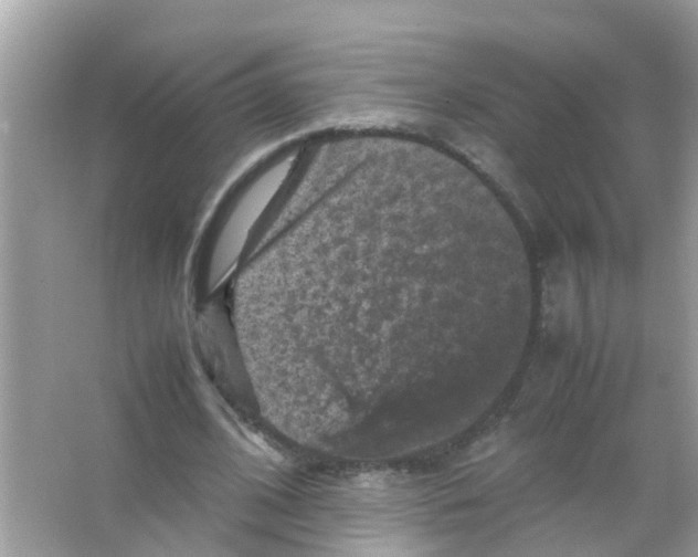 X0000065980584200603311907