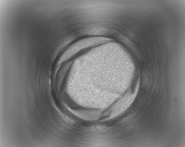 X0000065980586200603311907