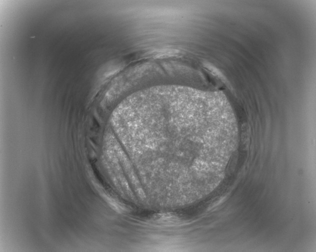 X0000065980589200603311907