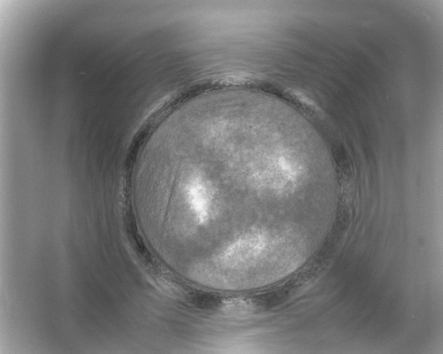 X0000065980591200603311907