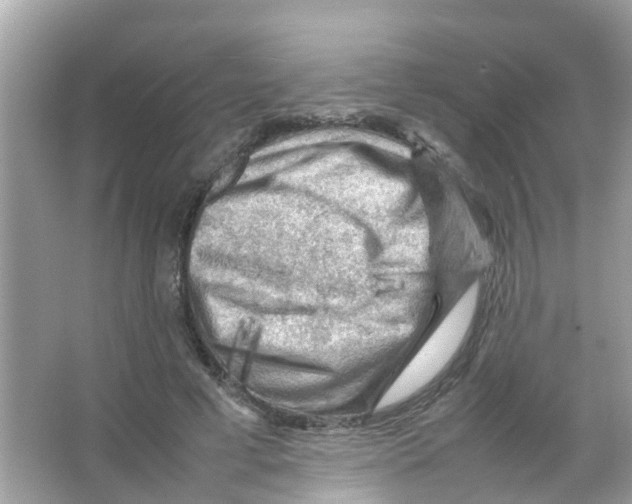 X0000065980593200603311907