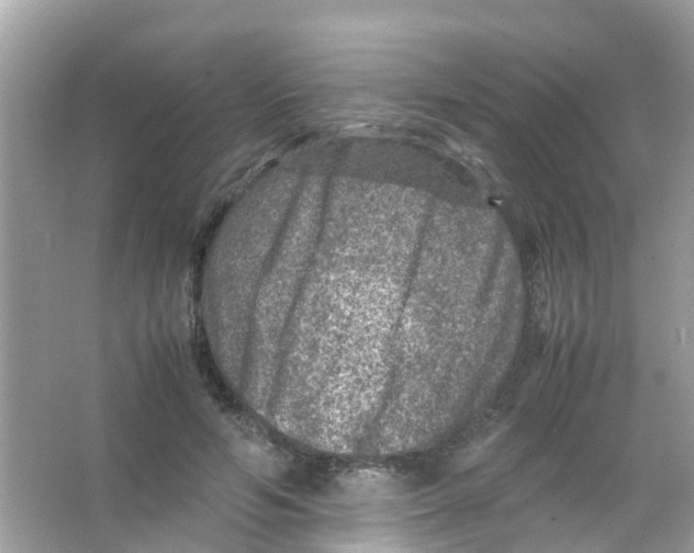 X0000065980594200603311907