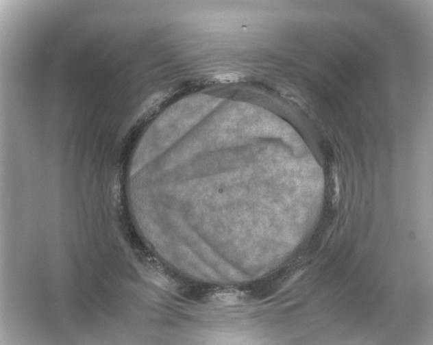 X0000065980595200603311907