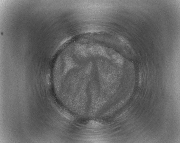 X0000065980596200603311907