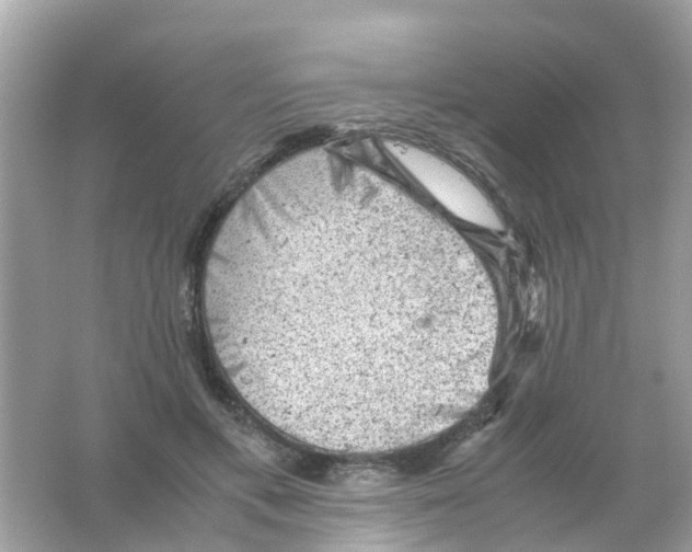 X0000065980597200603311907