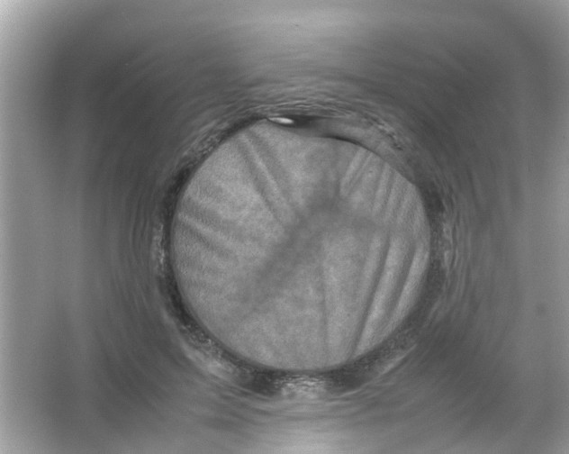 X0000065980599200603311907