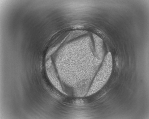 X0000065980600200603311907