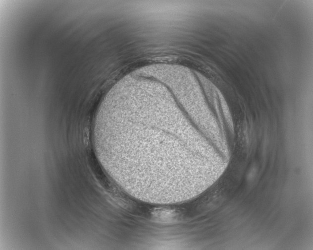 X0000065980602200603311906