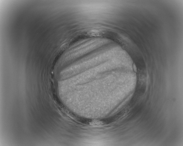 X0000065980603200603311906