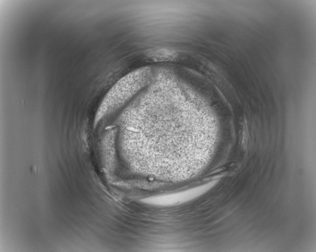 X0000065980604200603311906