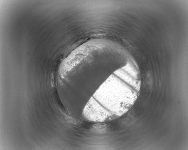 X0000065980606200603311906