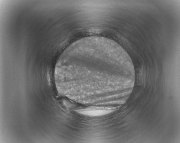 X0000065980608200603311906