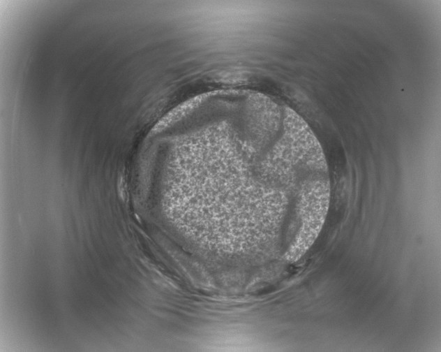 X0000065980609200603311906