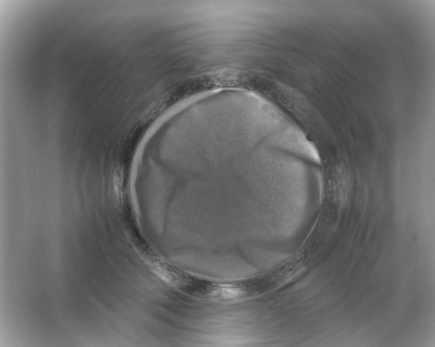 X0000065980610200603311906