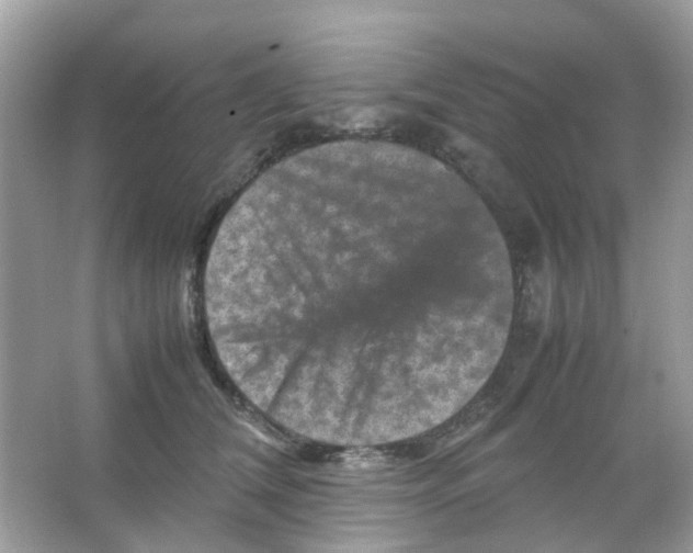 X0000065980612200603311906