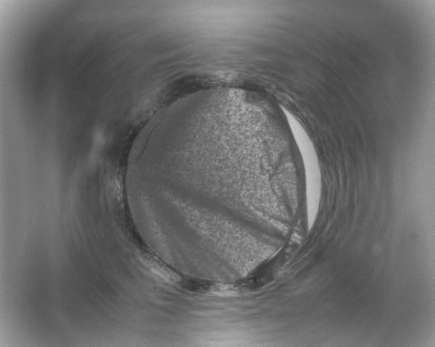 X0000065980613200603311906