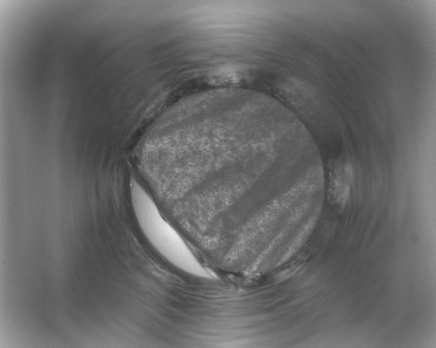 X0000065980616200603311906