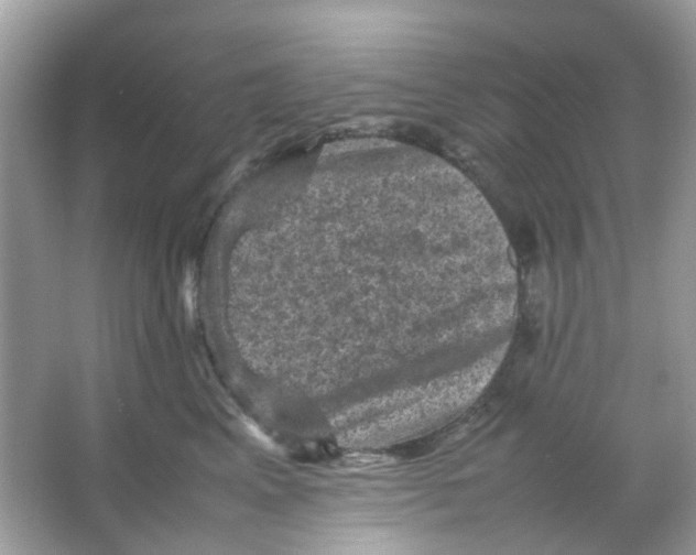 X0000065980617200603311906