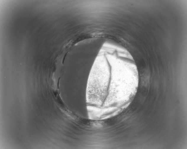 X0000065980618200603311906