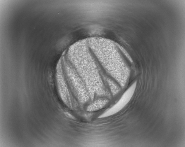 X0000065980619200603311906