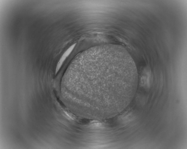 X0000065980620200603311906