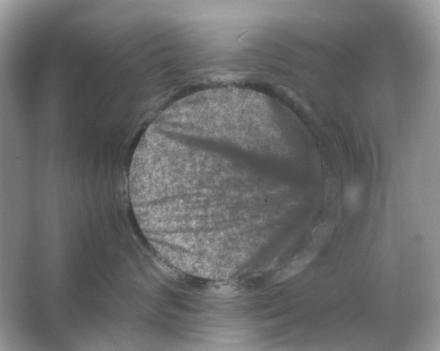 X0000065980624200603311906