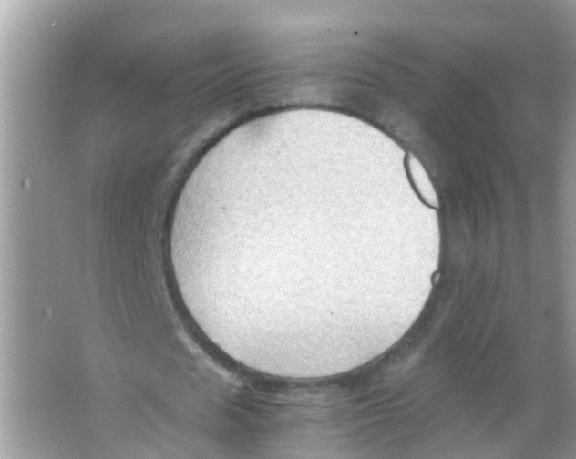 X0000065980625200603311905