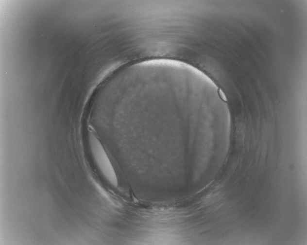 X0000065980626200603311905