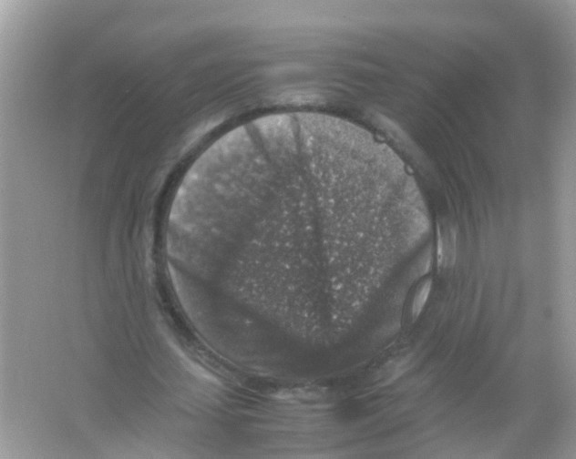 X0000065980627200603311905