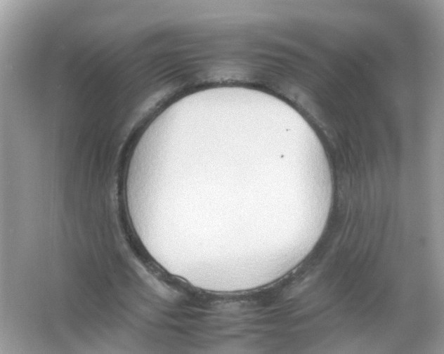 X0000065980629200603311905