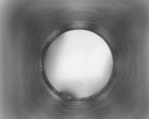 X0000065980633200603311905