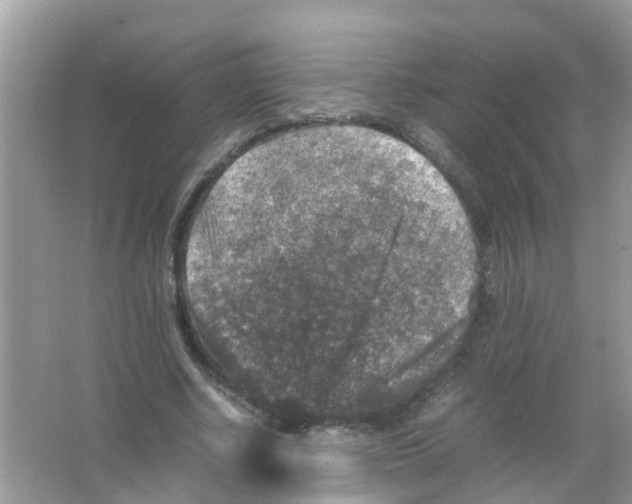 X0000065980634200603311905